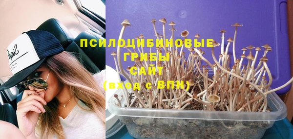крисы Пестово