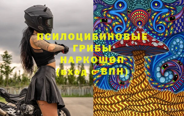 прущий лед Переславль-Залесский