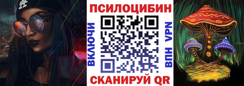 Купить  Солнечногорск  Псилоцибиновые грибы Cubensis 
